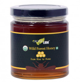Organic LRM Wild Forest Honey   Glass Jar  225 grams